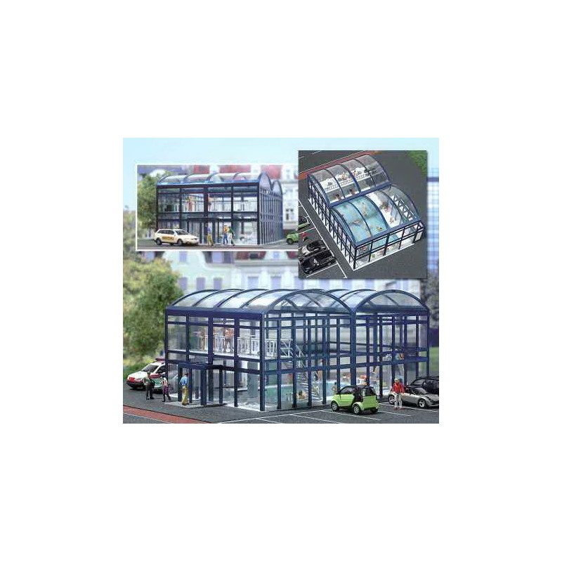 Piscina cubierta. BUSCH 1025