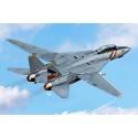 F-14D Super Tomcat "VF-2 Kopfgeldjäger".