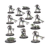 Kill Team: Mundo da Necrópole. Inglês.