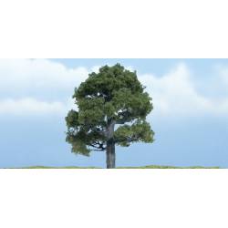 Quercia.