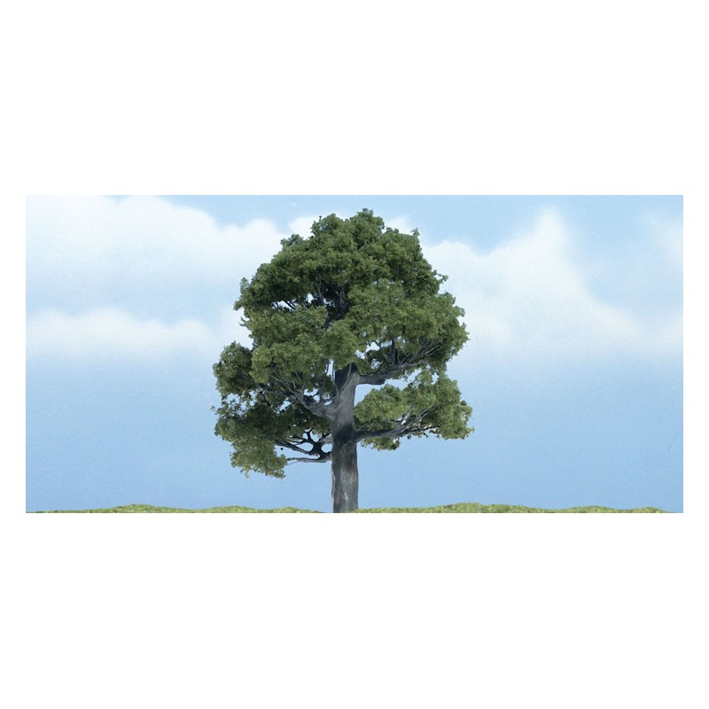 Oak. WOODLAND TR1606