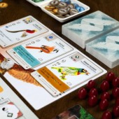 Apertura alare Asia.