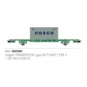 Lgss-Plattform mit COSCO-Container, TRANSFESA.