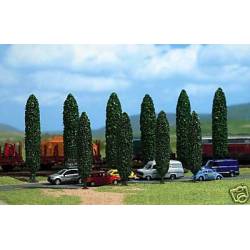 10 poplars.