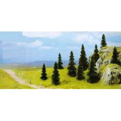 10 pine trees.