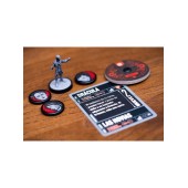 Ciottoli e nebbia senza pari.