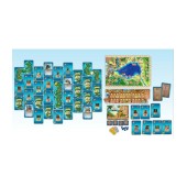 Pirates de Maracaibo.