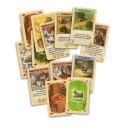 Catan. Mini gioco di carte.