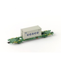 Lgnss flatcar with container COSCO, TRANSFESA.