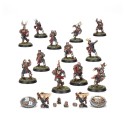 Bretonische Mannschaft von Blood Bowl: Die Barone von Brionne.