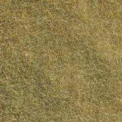 Herbes sauvages, vert sec.