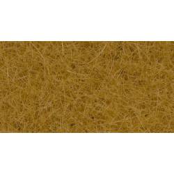 Wild Grass XL, beige.