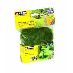 Erbe selvatiche, verde chiaro.