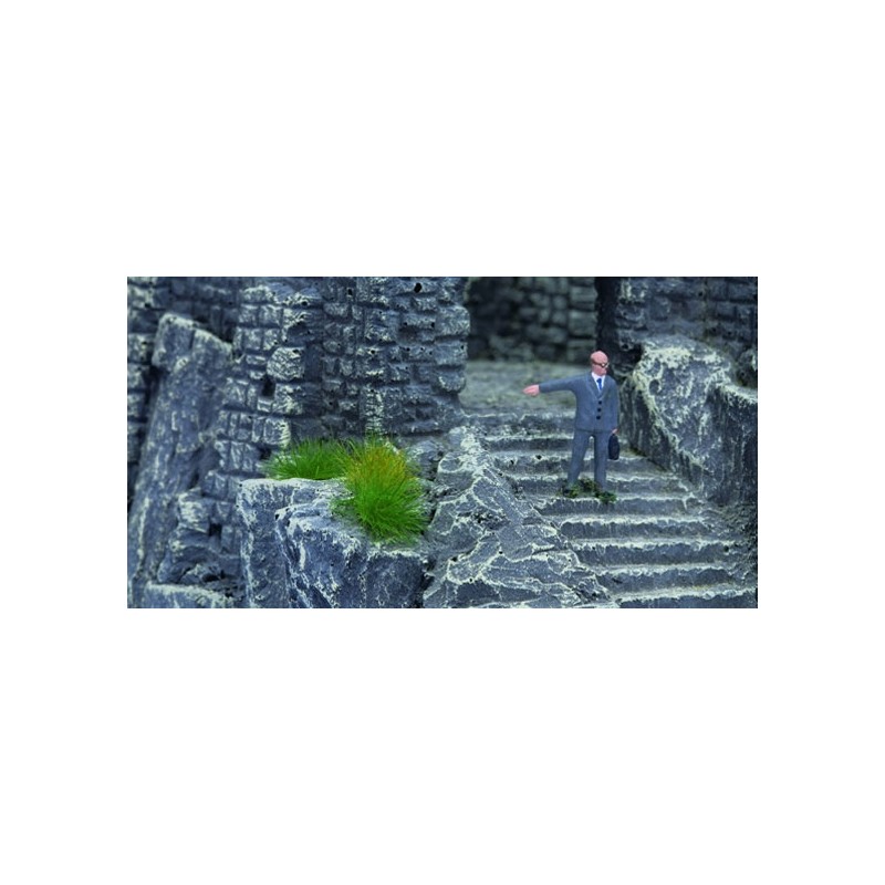 Mechones de césped, verano. NOCH 07131