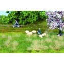 Spring meadow. NOCH 07402