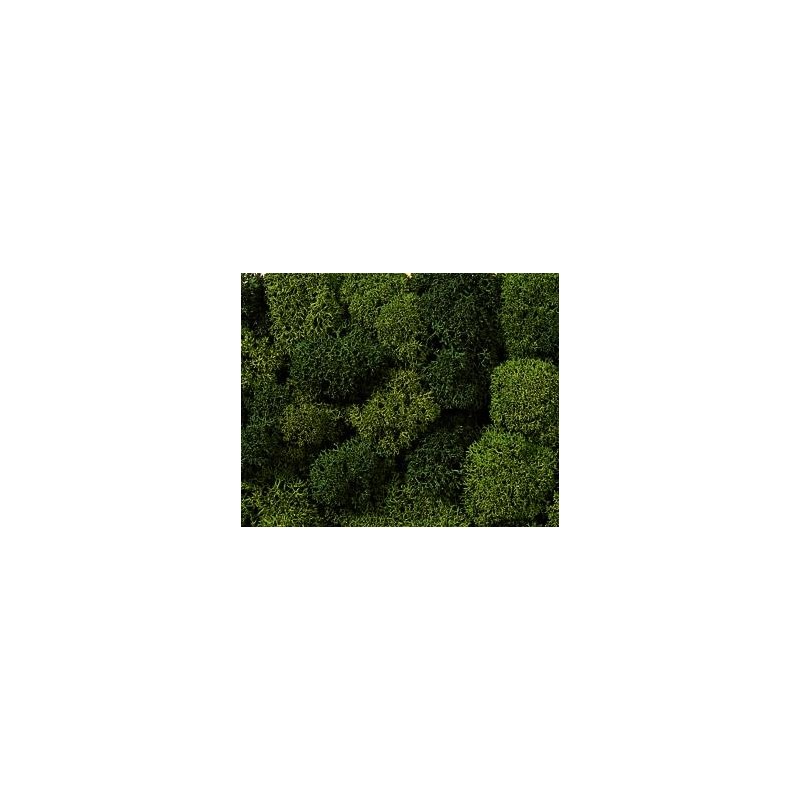 Musgo, verde mixto. NOCH 08610