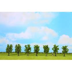 Deciduos trees.