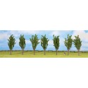 Poplars. NOCH 25098 Poplars. NOCH 25098