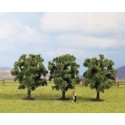 Fruit trees. NOCH 25110