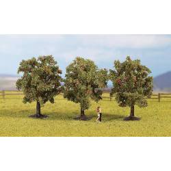 Apple trees.