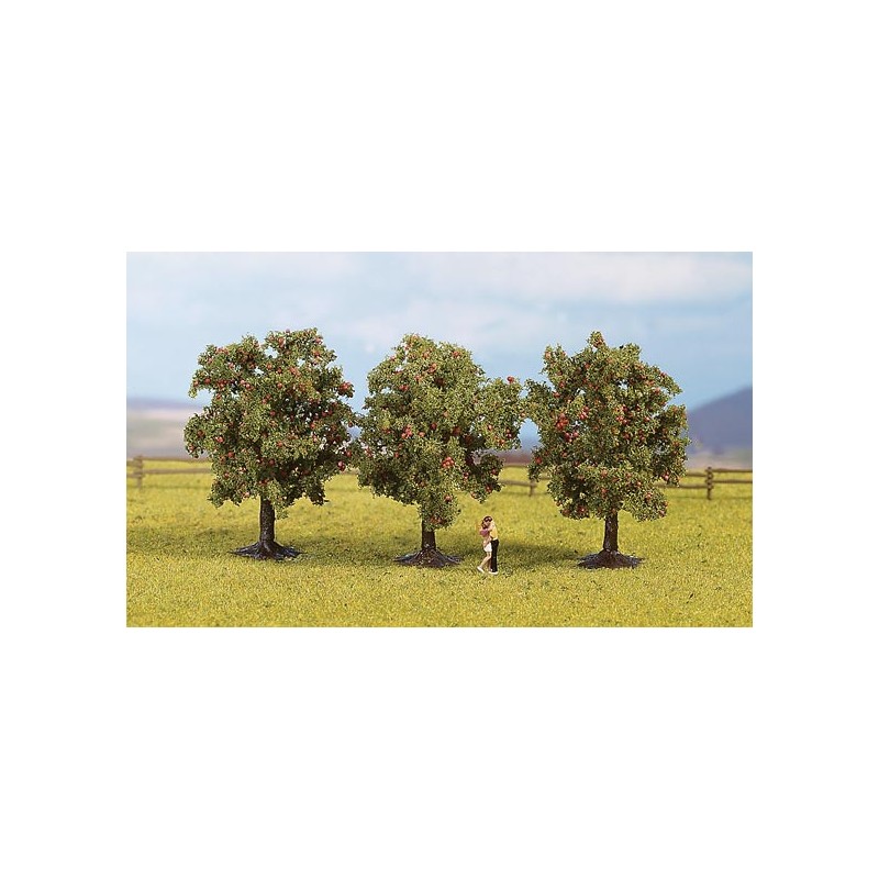 Apple trees. NOCH 25113