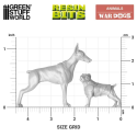 Cães de guerra.