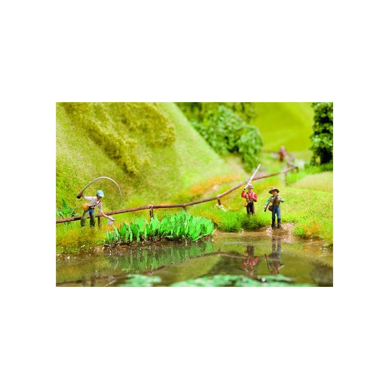 Plantas acuáticas. NOCH 14104