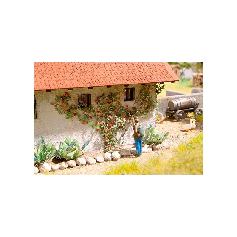 Rambler roses. NOCH 14118