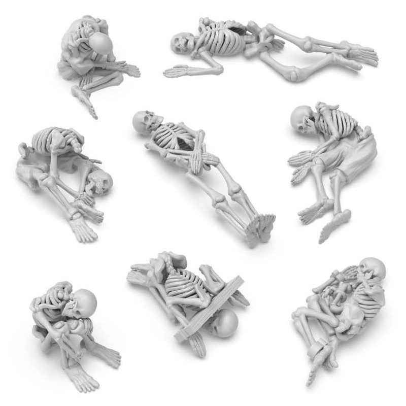 Squelettes humains 1:48. Squelettes humains 1:48.