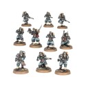 Astra Militarium: plotone d'assedio di Krieg.