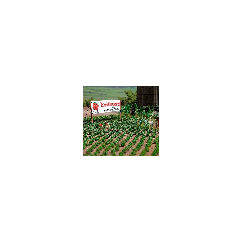 Plantas de fresas. BUSCH 1265 Plantas de fresas. BUSCH 1265