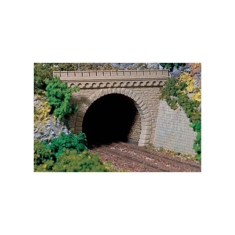 Boca de túnel de doble vía. AUHAGEN 11343