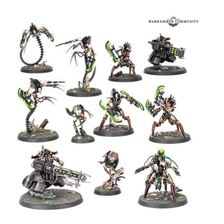Bataillon der 500 Welten: Necrons.
