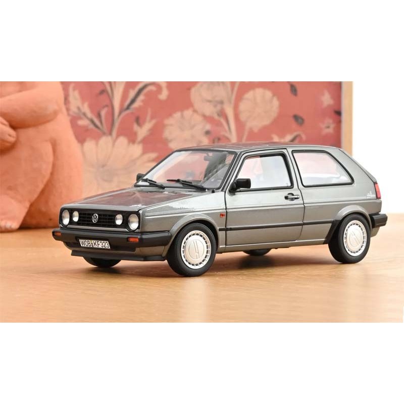 Campione VW Golf 10, 1989.