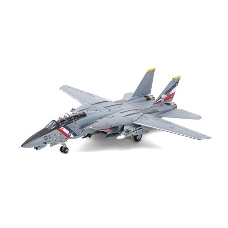 Grumman F-14D Tomcat.