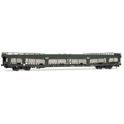 DD DEV 66 car transporter, SNCF.