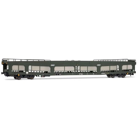 DD DEV 66 car transporter, SNCF.