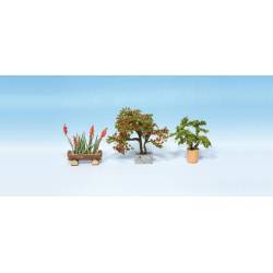 Plantas ornamentais.