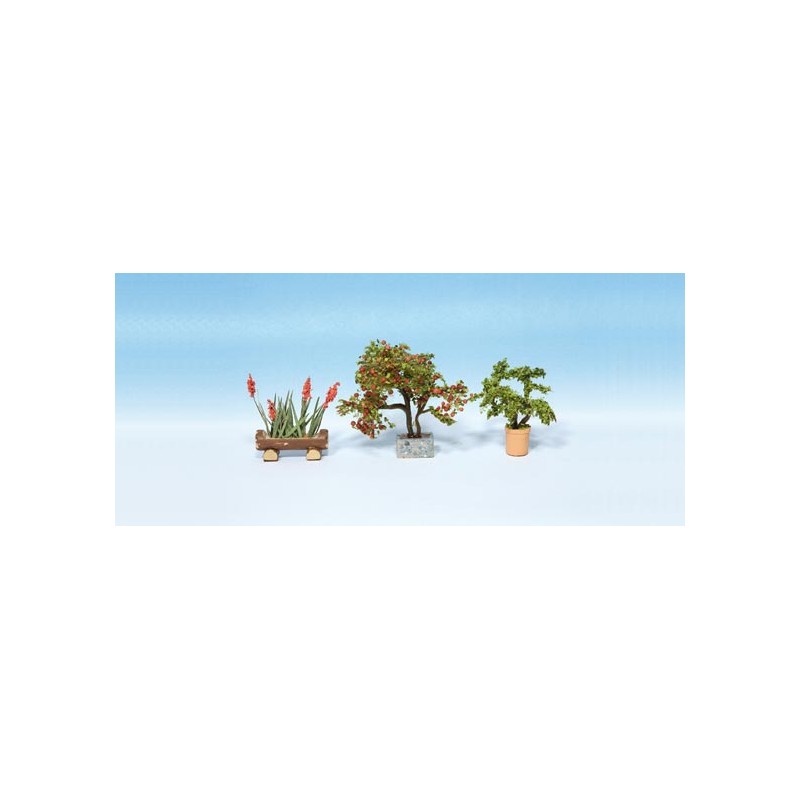 Plantas ornamentales. NOCH 14020 Plantas ornamentales. NOCH 14020