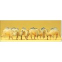 Camels. PREISER 20383