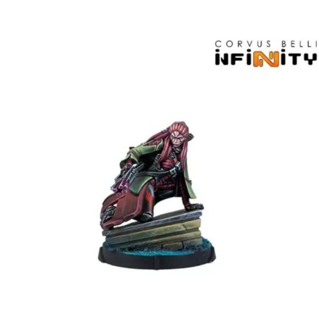 Pacote de Ação do Exército Combinado Infinity – Caixa do Exército para o Infinito