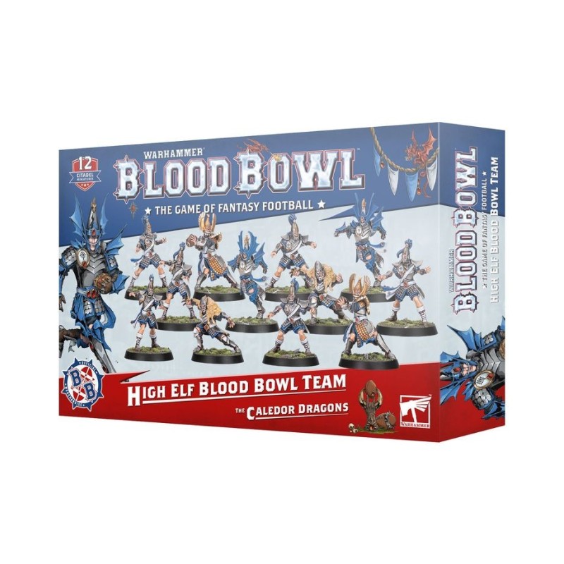 Hauts Elfes de Blood Bowléquipe : Les Dragons de Caledor.