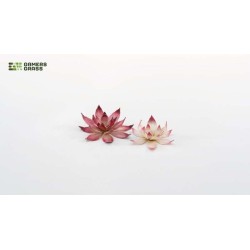 Laser plants. Lotus flower.