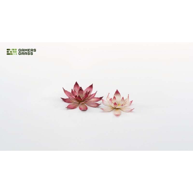 Des plantes laser. Fleur de lotus.