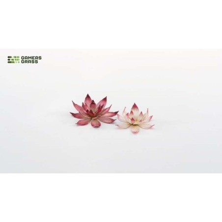 Laser plants. Lotus flower.