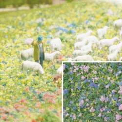 Flores violetas.