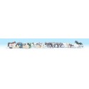 Animals. NOCH 16049 Animals. NOCH 16049