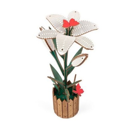 Blumen: Lily. Blumen: Lily.