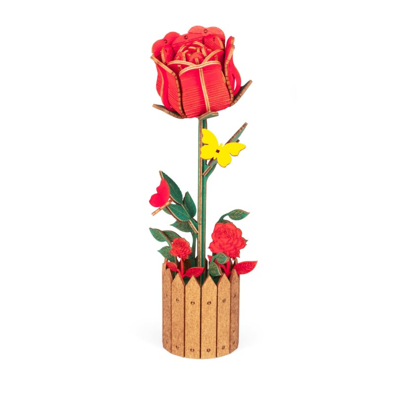 Blumen: Rosa.