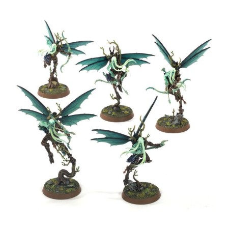 La pointe de lance de Sylvaneth : Volée de Gros Fois.